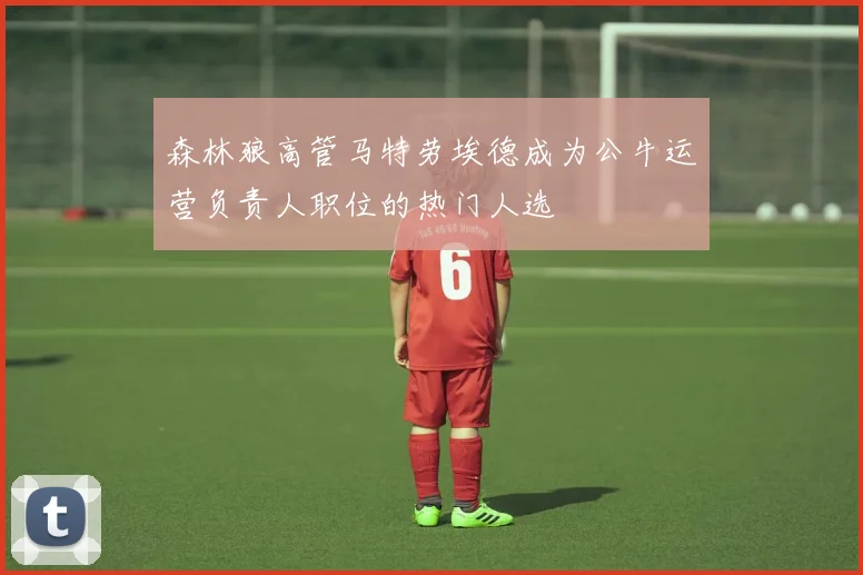 森林狼高管马特劳埃德成为公牛运营负责人职位的热门人选